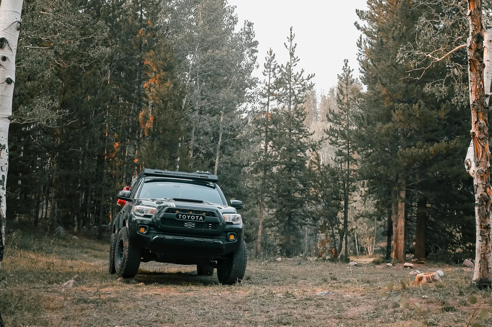 Ulltimate Guide to Toyota Tacoma Tents for Adventurous Campers