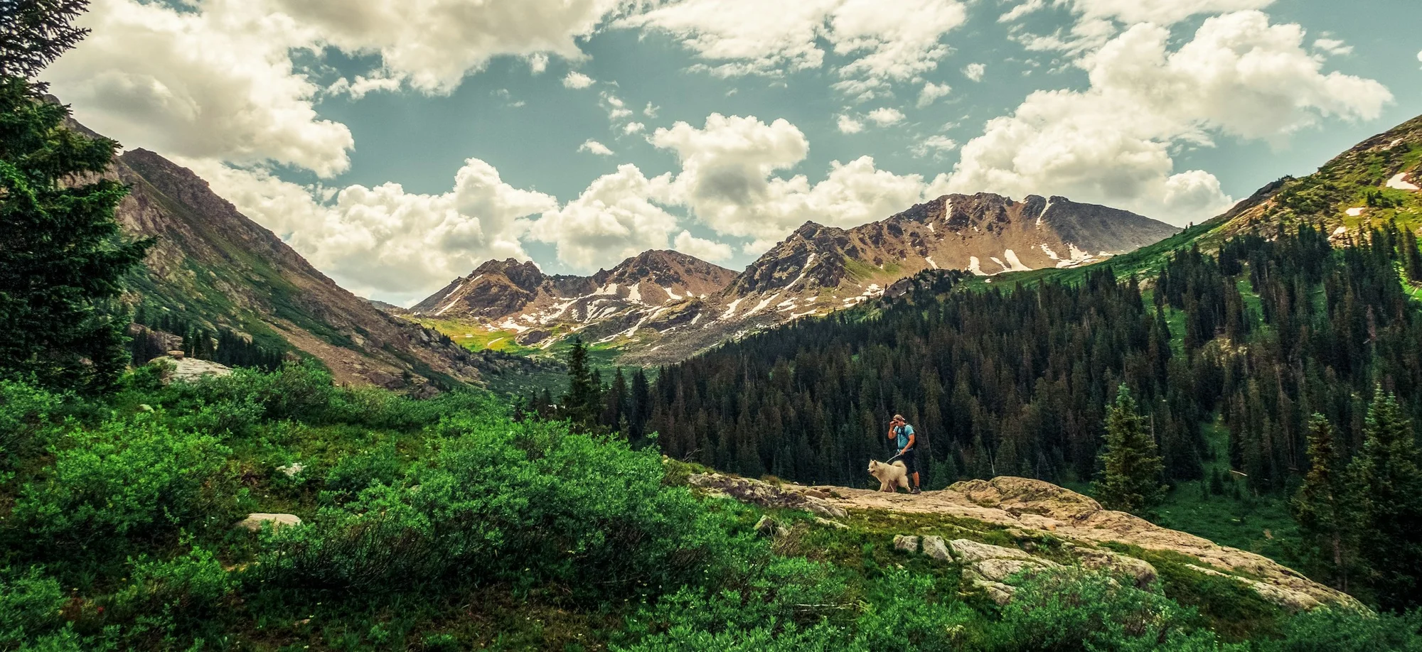 Try These 4 Trails For Hiking With Your Dog Near Arvada CO